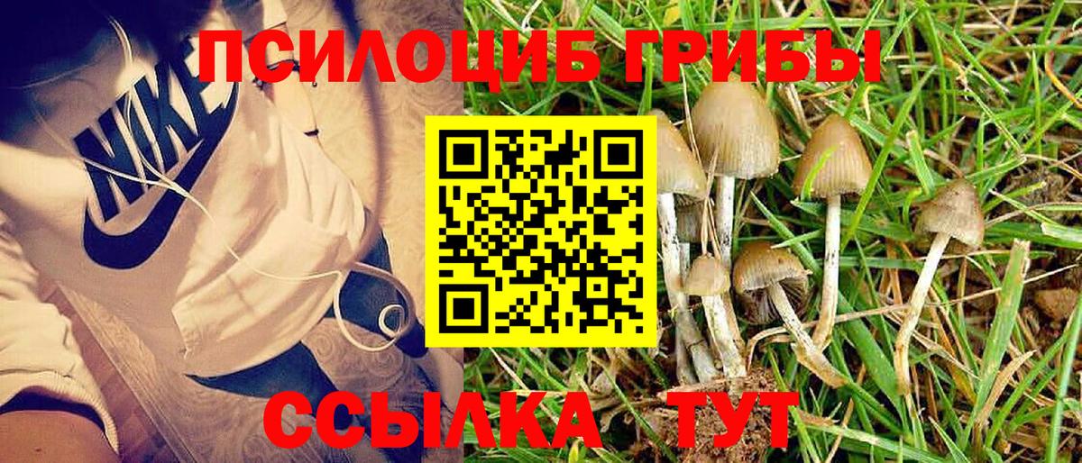 Псилоцибиновые грибы Psilocybine cubensis  Псилоцибиновые грибы прущие грибы  Вход с VPN  Крымск 